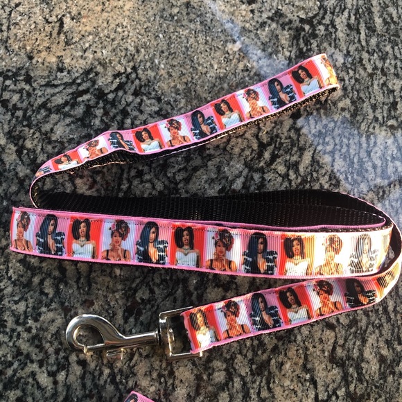 Cardi B Dog pet cat collar leash bundle gift set fashion icon rapper music lot - Picture 4 of 5